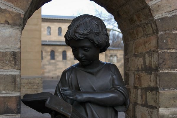 IMG_8640.jpg