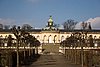 IMG_8646.jpg