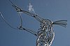 IMG_9824.JPG