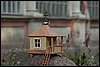 IMG_1097.JPG