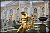 IMG_1303.JPG