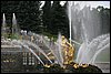 IMG_1316.JPG