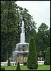 IMG_1331.JPG