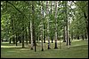 IMG_1341.JPG