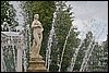 IMG_1346.JPG