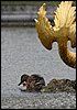 IMG_1396.JPG