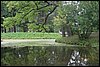 IMG_1485.JPG