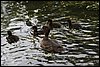 IMG_1505.JPG