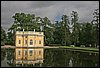 IMG_1539.JPG