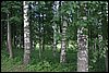 IMG_1585.JPG