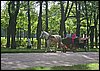 IMG_1572.JPG