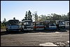 IMG_1596.JPG