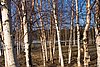 IMG_9455.jpg