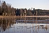 IMG_9458.jpg