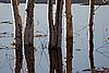 IMG_9461.jpg
