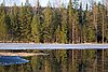 IMG_9464.jpg