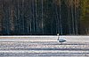 IMG_9465.jpg