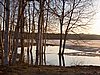 IMG_9470.jpg