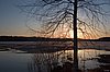IMG_9473.jpg