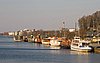 IMG_9540.jpg