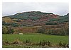 IMG_5637.JPG