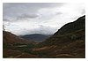 IMG_5649.JPG