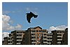 IMG_1133.JPG