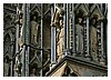 IMG_1146.JPG