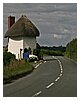IMG_1050.JPG