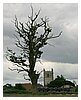 IMG_1070.JPG