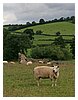 IMG_1073.JPG