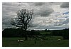 IMG_1081.JPG