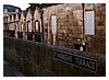 06IMG_1018.jpg