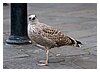 07IMG_1006.jpg