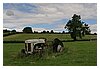 11IMG_1053.JPG