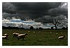 12IMG_1091.JPG