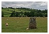16IMG_1062.JPG