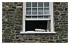 17IMG_1048.JPG