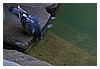 28IMG_1201.JPG