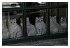 44IMG_1347.JPG