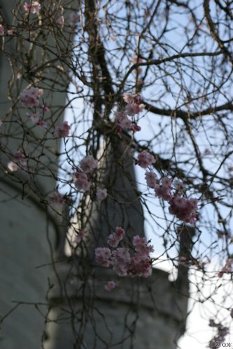 IMG_9347.JPG