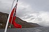 IMG_9238.jpg