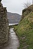 IMG_9262.JPG