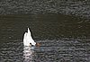 IMG_9302.JPG
