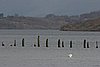 IMG_9303.JPG