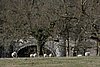 IMG_9342.JPG