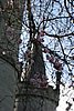 IMG_9347.JPG
