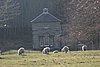 IMG_9349.JPG