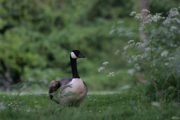IMG_1756.JPG