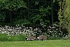 IMG_1704.JPG